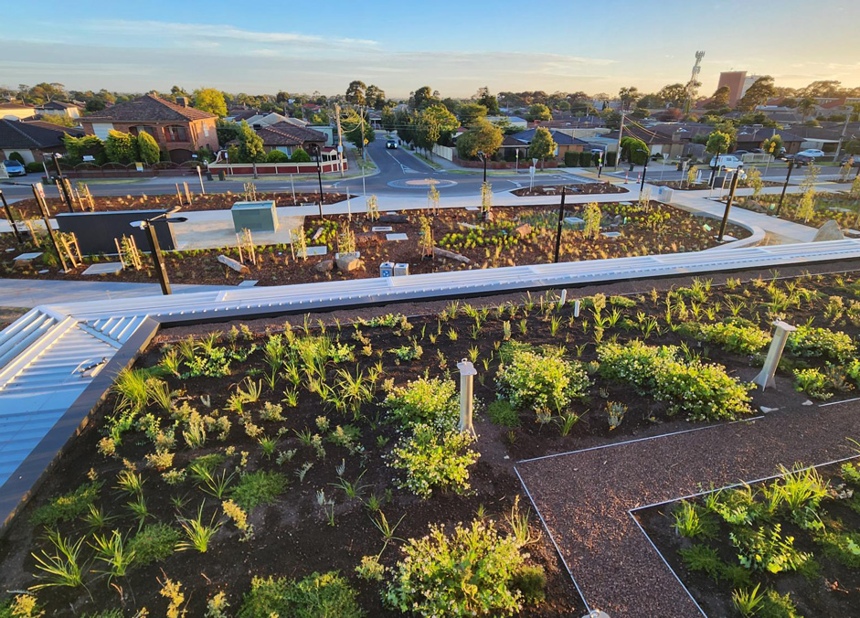 Deer Park Green Roof