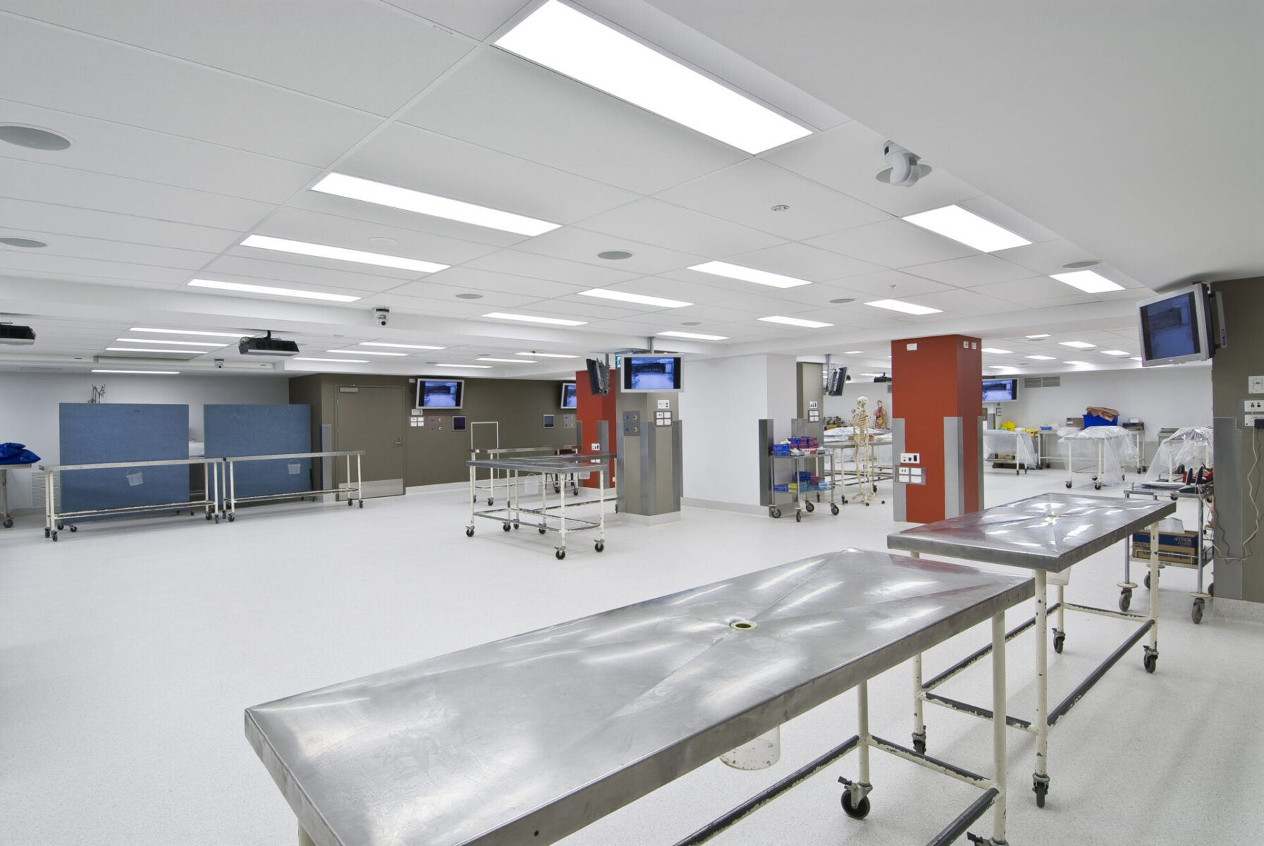 University of Adelaide Medical School Bio Skills and Dissection Laboratory